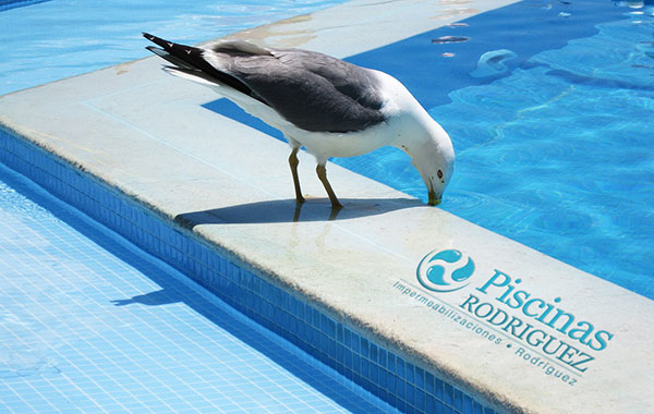 Quienes Somos - Piscinas Rodriguez